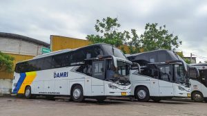 Ilustrasi Bus DAMRI. (istimewa)