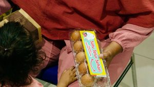 Ilustrasi program satu telur sehari. (Istimewa)